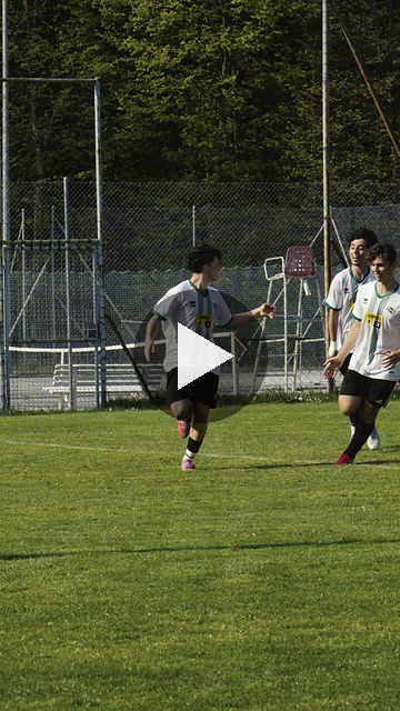 CARCIFO0433_00279178.mp4