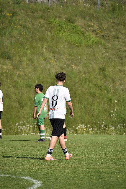 _DSC0124.JPG