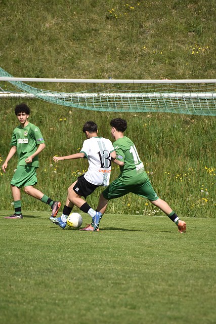 _DSC0107.JPG