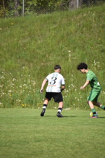 _DSC0090.JPG