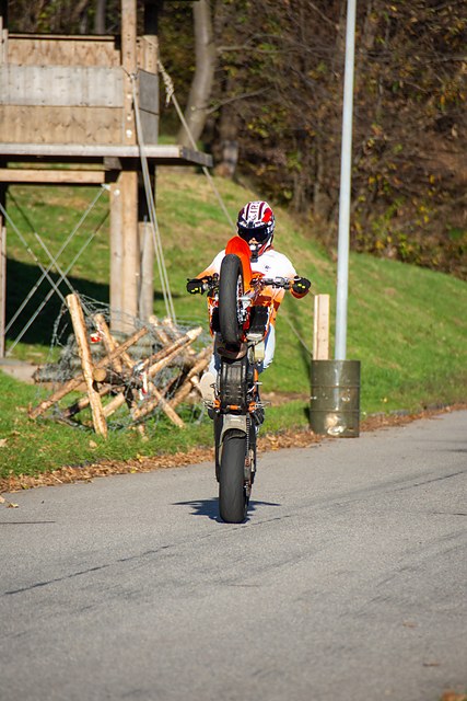 _DSC1987.jpg