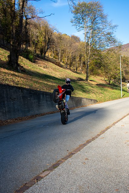 _DSC2009.jpg