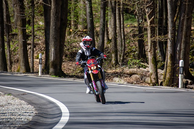 _DSC9498.JPG