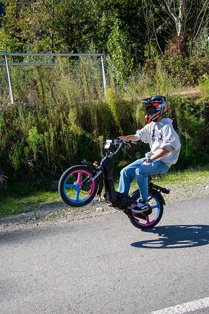 _DSC0725.JPG