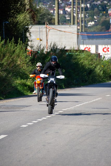 _DSC0730.JPG