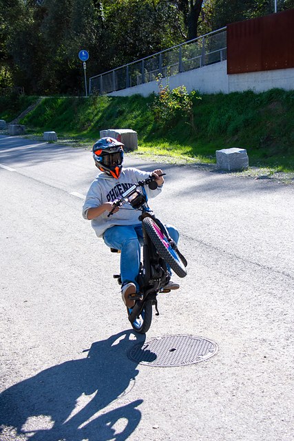 _DSC0737.JPG