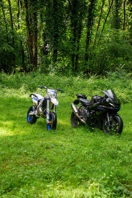 _DSC3887.JPG