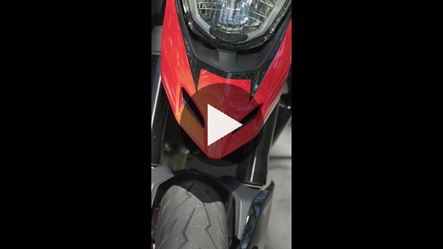 CARCIFO0633_1.mp4